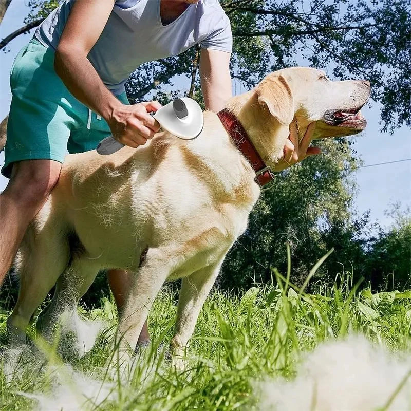 Escova pratica para cães e gatos, pente autolimpante, removedor de pelos