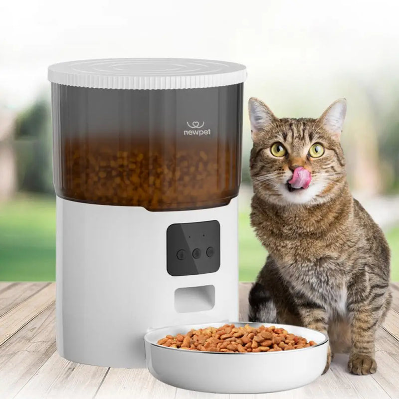 Alimentador de temporização para gatos 4L