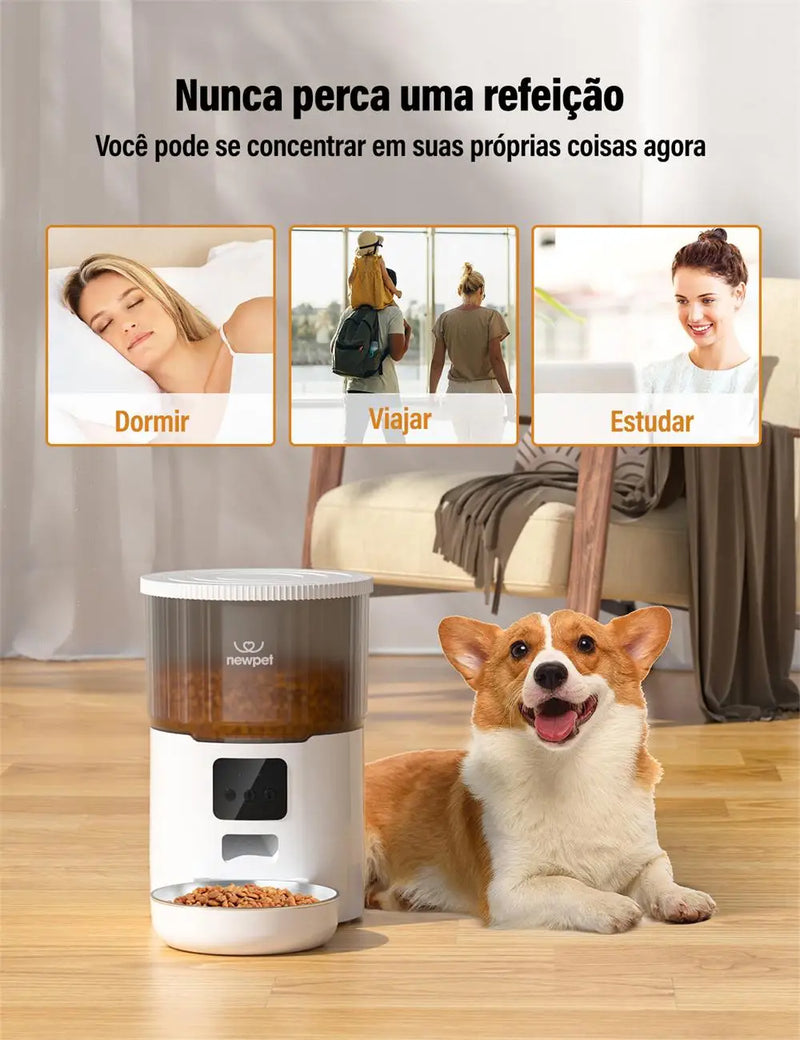 Alimentador de temporização para gatos 4L